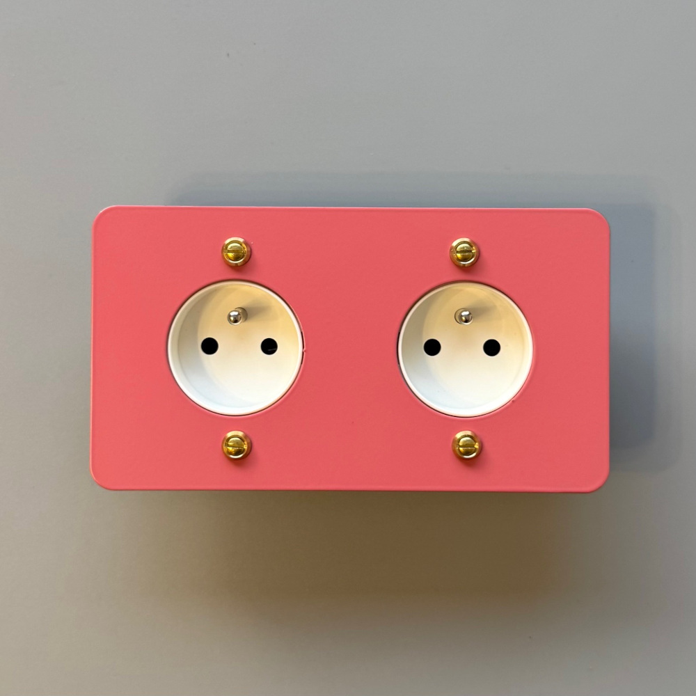 6rv3-prise électrique-double-rose-vintage-1