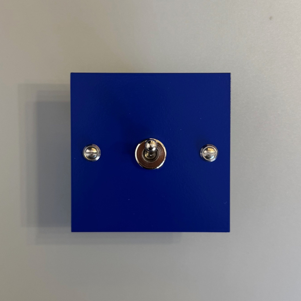 1ou4-interrupteur-levier-bleu klein-1