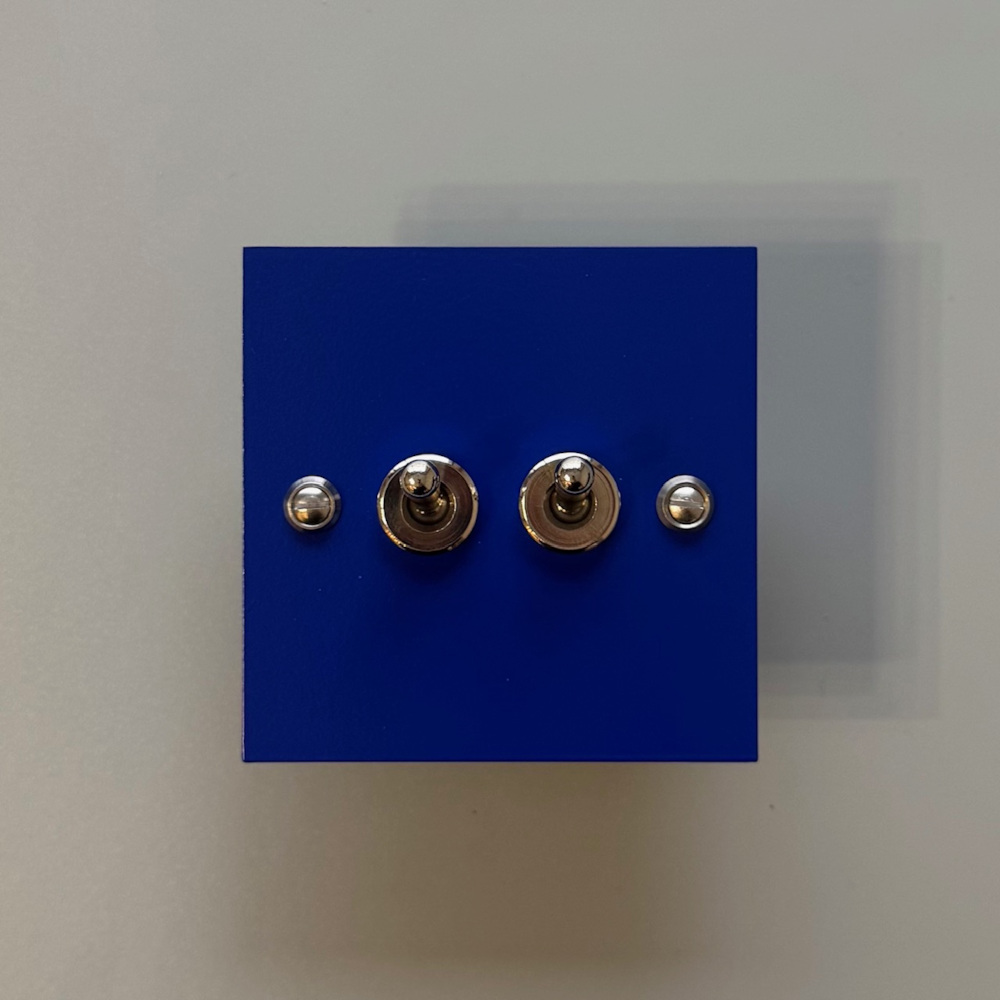 2ou4-interrupteur-double-levier-bleu klein-1